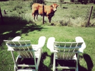 IMG_20190627_174752_402