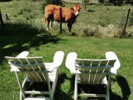 IMG_20190627_171912_369