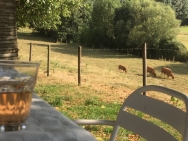 fotos-tot-29-juni-2018-037