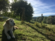 fotos-tot-30-september-022