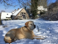 11483836546246643802