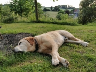 1_IMG_20190624_201930