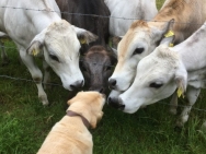 9979767753663375472-e1615733851656