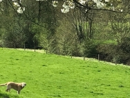 Fotos-tot-17-April-082