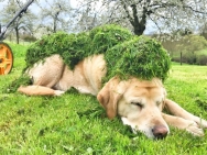 Fotos-tot-17-April-088