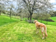 Fotos-tot-17-April-089