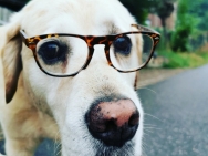 IMG_20190727_204159_350