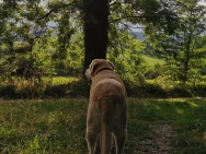 IMG_20190806_141516_710