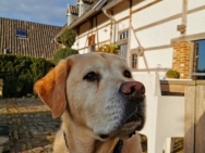 IMG_20191104_154251-1