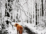 IMG_20200226_121749_142