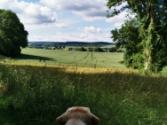 IMG_20200619_105233-1