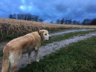 fofos-tot-1-april-074