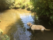 fotos-tot-29-juni-2018-061