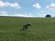 fotos-tot-30-september-018