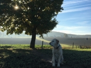 10481187451702638454