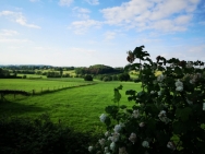 11562673667256891523