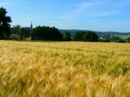 Fots-tot-12-jumi-039