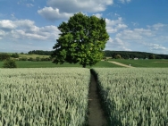 IMG_20190624_191533_461