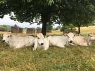 fotos-tot-30-juli-015-kopie